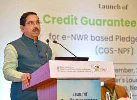 Credit Guarantee Scheme for e-NWRs