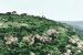 Haryana’s Aravali Safari Park Project