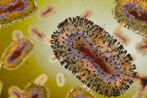 Mpox Clade Ib Outbreak in DRC