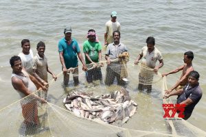 Nationwide Campaign for National Fisheries Digital Platform Registration