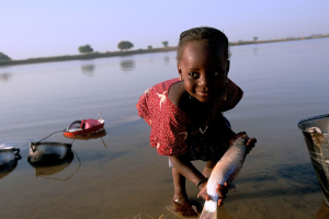 Niger Eliminates Onchocerciasis