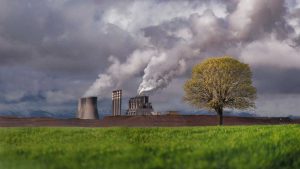 Nitrogen Dioxide Pollution Impact on Crop Yield