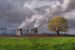 Nitrogen Dioxide Pollution Impact on Crop Yield