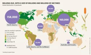 Peatlands Under Threat