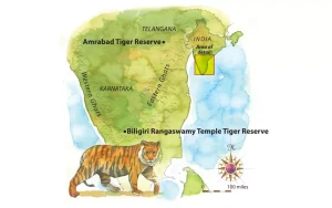Soligas and Tiger Conservation in BRT Tiger Reserve