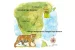 Soligas and Tiger Conservation in BRT Tiger Reserve