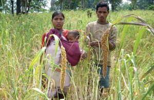 Sustainable Agriculture and Tribal Communities in India