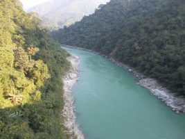 Teesta River Management