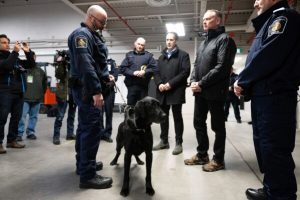 US Designates Latin American Criminal Groups as Terrorists