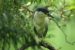 What is Biodiversity Leak?