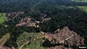 2030 Global Forest Vision Report