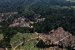 2030 Global Forest Vision Report
