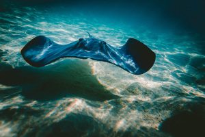 30th Session of the International Seabed Authority