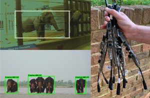 AI Surveillance Prevent Human-Elephant Conflicts