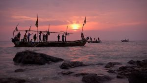 Freshwater Ecosystems Face Deoxygenation Crisis