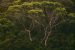 Gaps in Forest Finance