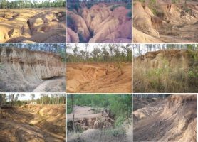 Gully Erosion in India