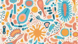 Gut Health and Multiple Sclerosis