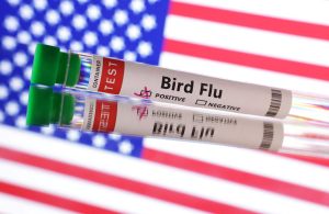 H7N9 Bird Flu Outbreak in US
