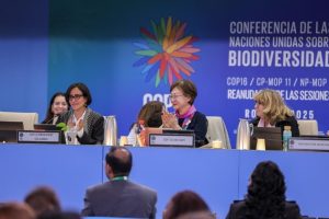 Historic Agreement at COP16 on Biodiversity Financing