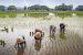 India Achieves Milestone with 10,000 FPOs