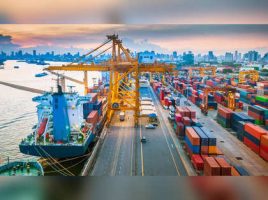 India-New Zealand FTA Negotiations Resumed