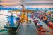 India-New Zealand FTA Negotiations Resumed