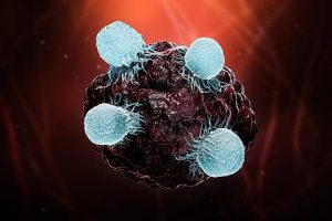Rapid-CRISPR for Acute Promyelocytic Leukaemia Diagnosis