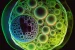 Lyme Disease Treatment Breakthrough