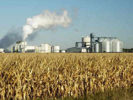 Modified Ethanol Interest Subvention Scheme