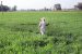Parliament Committee’s Recommendations for Farm Workers’ Welfare