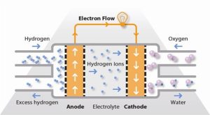 Proton Exchange Membrane Fuel Cells