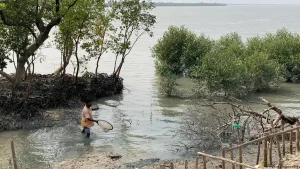 Sundarbans Groundwater Crisis