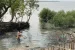 Sundarbans Groundwater Crisis
