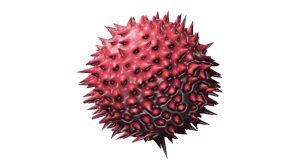 Swine Flu Surge in India