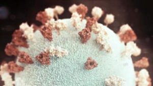 Viral Meningitis