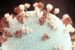 Viral Meningitis