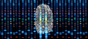 What is DNA Fingerprinting?