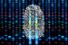 What is DNA Fingerprinting?
