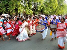 Sarhul Festival
