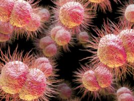 Gonorrhoea