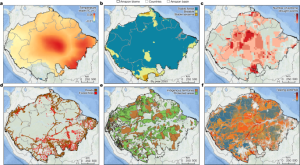 Impact of Temperature on Tropical Forest Species