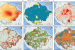 Impact of Temperature on Tropical Forest Species