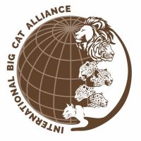 International Big Cat Alliance