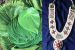 Kumbakonam Betel Leaf and Thovalai Flower Garland GI Tags