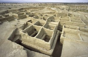 Mehrgarh’s Agricultural History