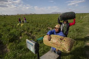 Mexico-U.S. Water Agreement on Rio Grande Basin