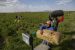 Mexico-U.S. Water Agreement on Rio Grande Basin