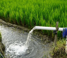 Modernisation of Command Area Development and Water Management (M-CADWM) Scheme