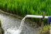 Modernisation of Command Area Development and Water Management (M-CADWM) Scheme